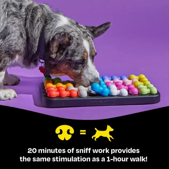 Brightkins Kanoodle Dog Edition Large Puzzle