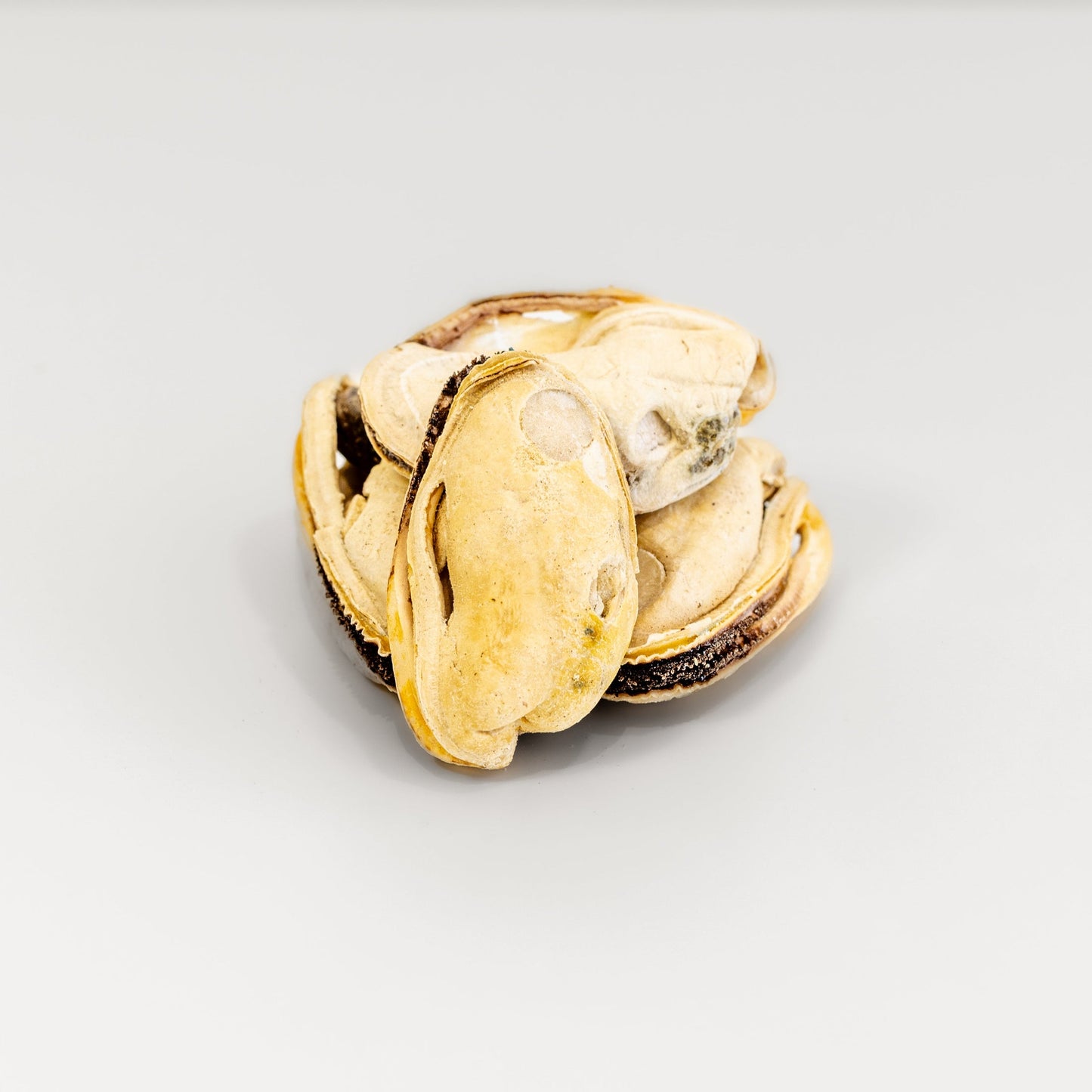 RAFA Freeze-Dried Green Lipped Mussels 60g