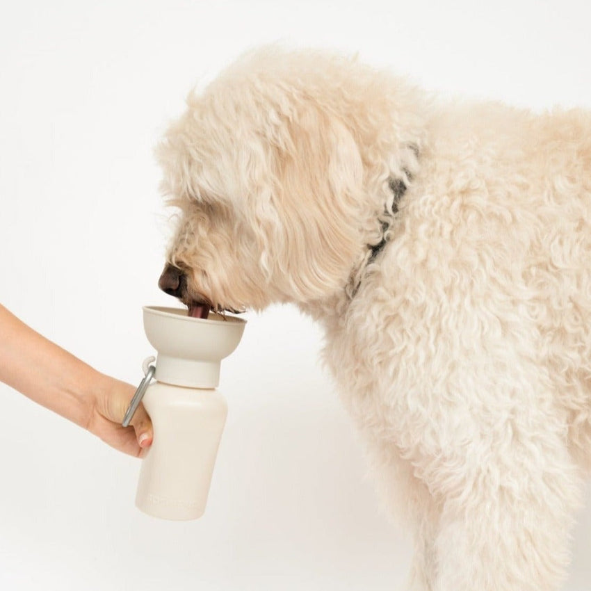 Springer Pets Flip Travel Bottle 590ml