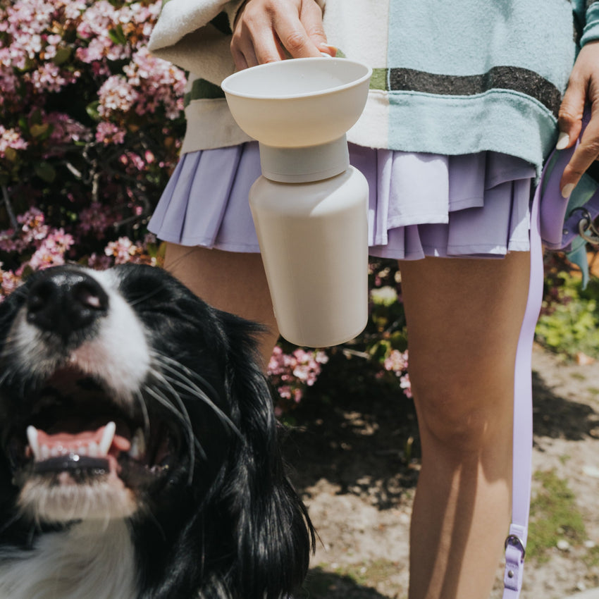 Springer Pets Flip Travel Bottle 590ml