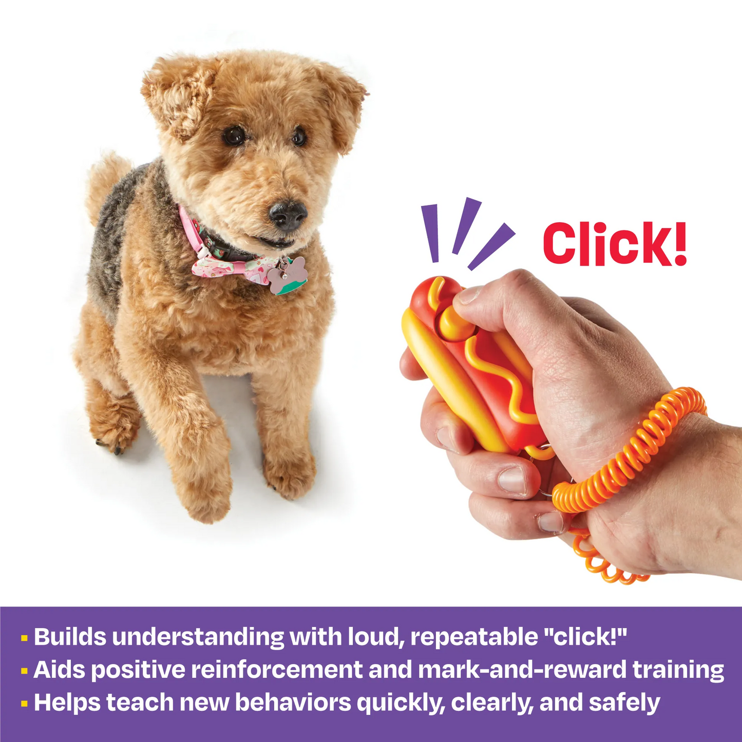 Smarty Pooch!™ Training Clicker: Hot Dog