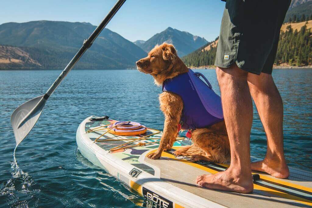 Ruffwear Float Coat™ Dog Life Jacket