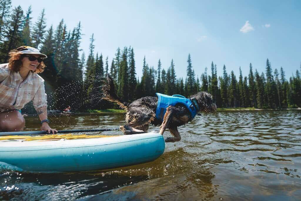 Ruffwear Float Coat™ Dog Life Jacket