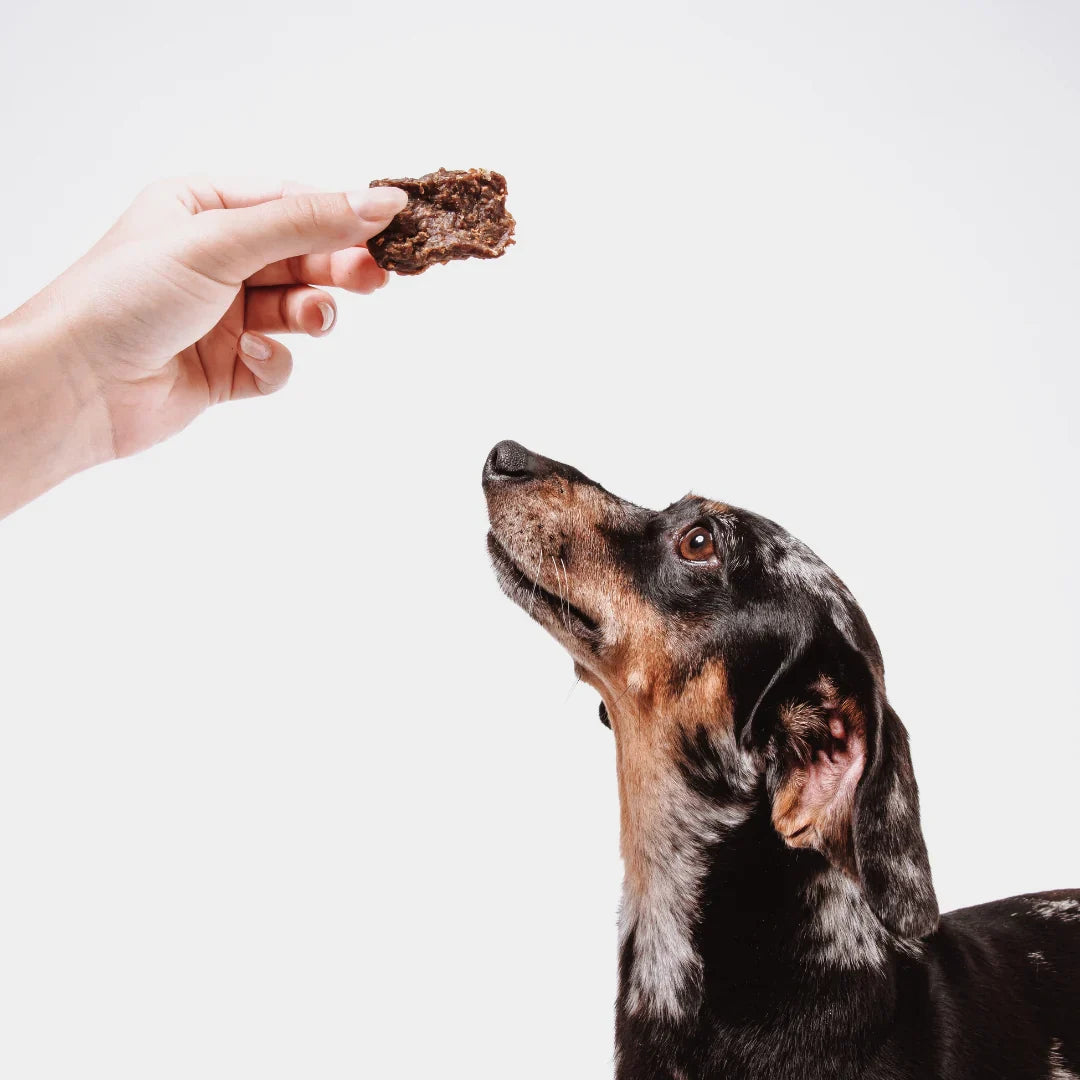 Functional Treat-Mobility + Joint Support 100g