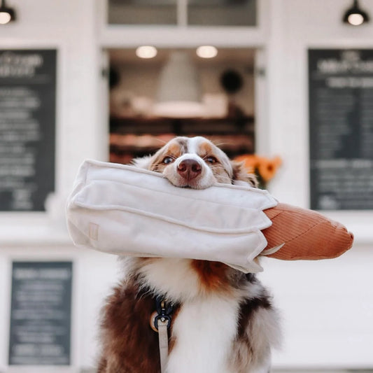Lambwolf Collective Baguette Enrichment Toy