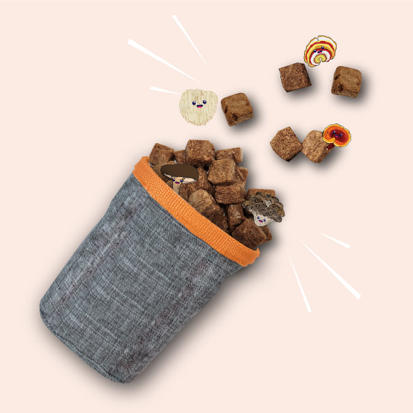 Naturawr Mushroom for Dogs 50g