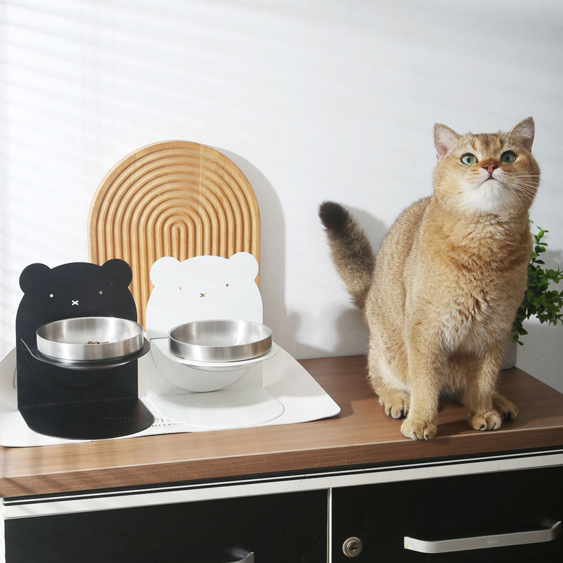 Magnetic Pet Bowl Set Charcoal Bear 200ml