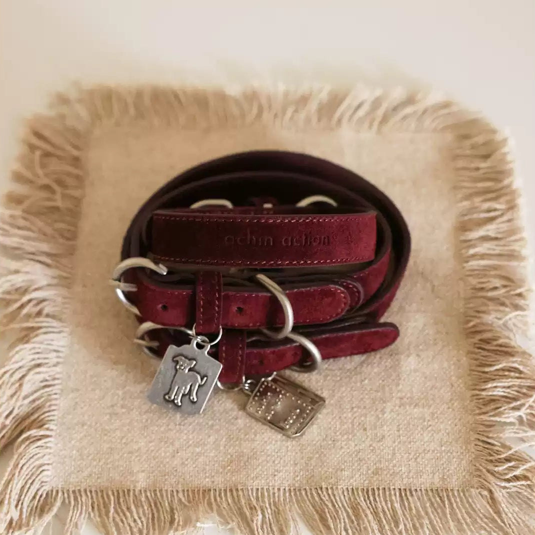 Book Pendant Cowhide Collar Ankora Red
