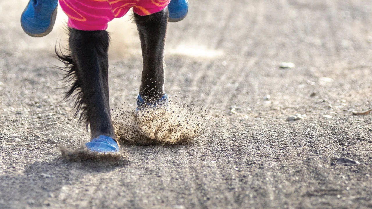 Ruffwear Hi & Light Trail Shoes