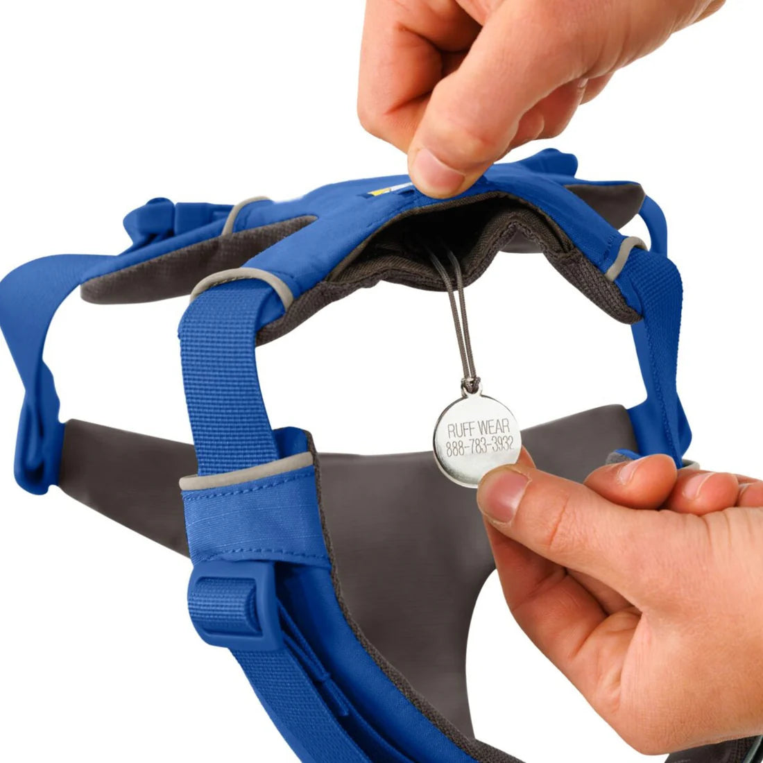 Ruffwear Front Range Harness Blue Pool