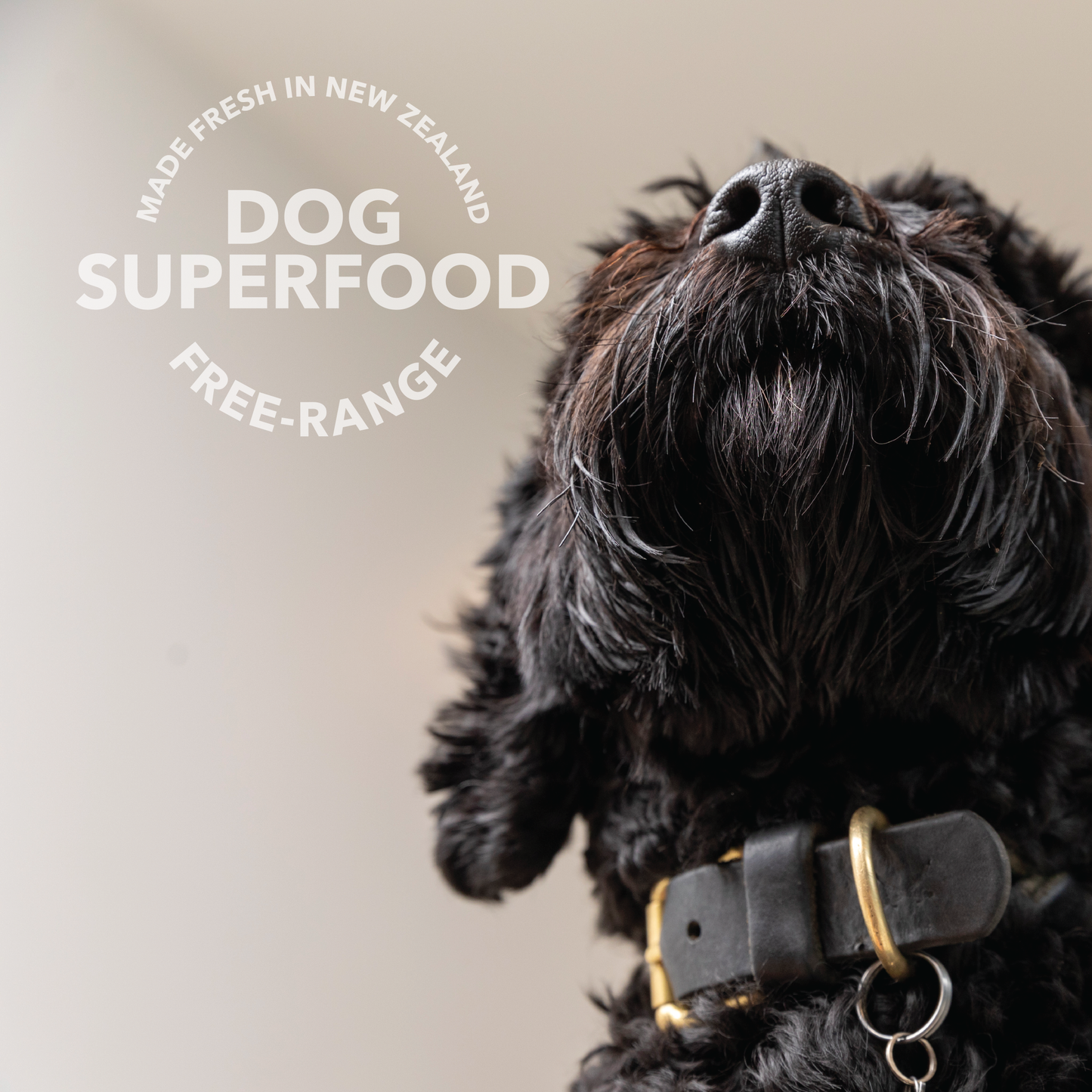 K9 天然冻干羊肉绿牛肚增强剂 57g