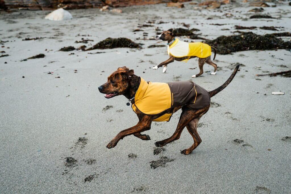Ruffwear Sun Shower Jacket