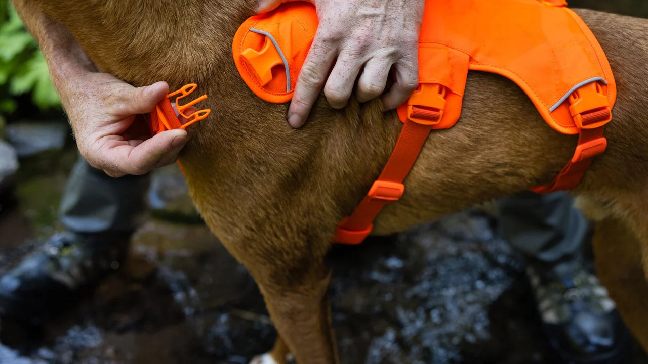 Ruffwear Web Master Dog Harness with Handle