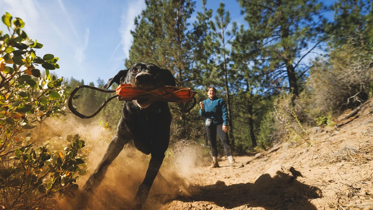 Ruffwear Webbing Remix Cactus Tug Toy