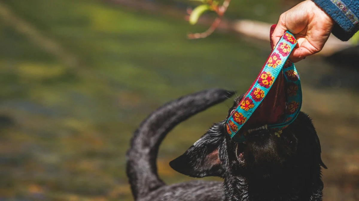Ruffwear Remix Soft Flying Disc-Suprise