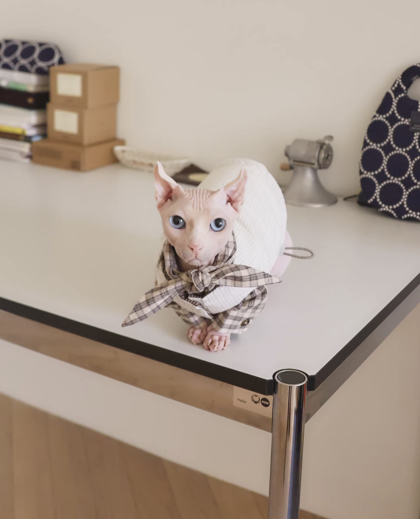 GT Series Hazelnut Plaid Tie-Neck Shirt