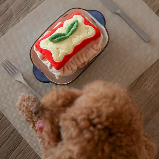 Lasagna Nosework Toy