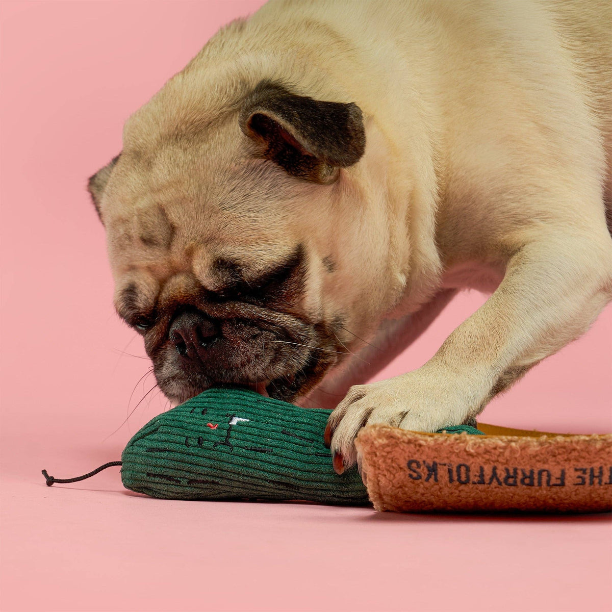 Fried Pickle Nosework Toy