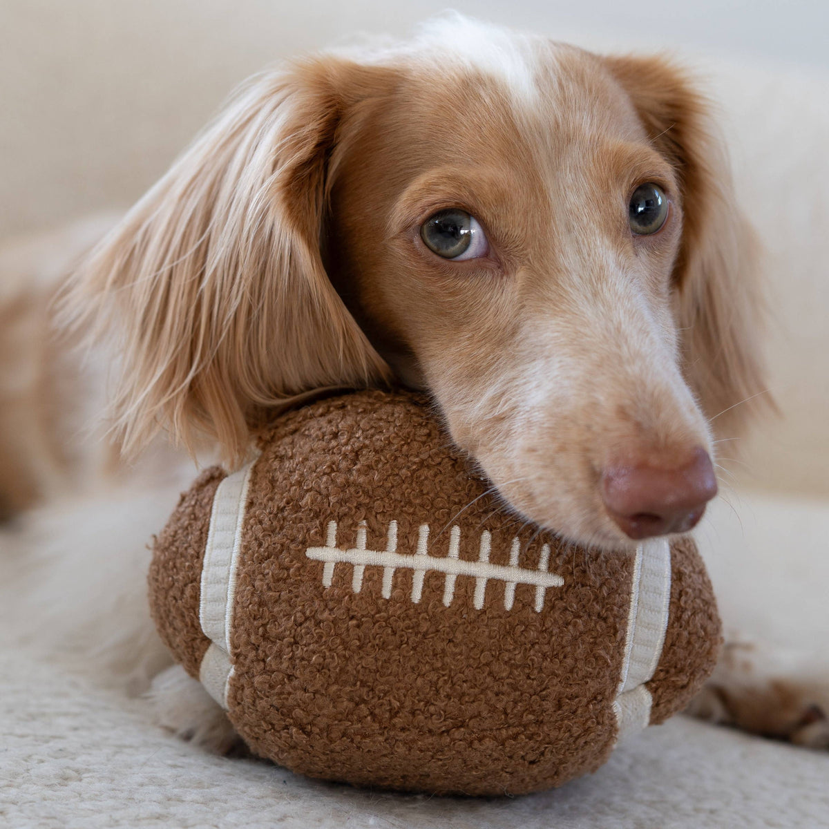 FOOTBALL // ENRICHMENT TOY SET// SNUFFLE + BURROW