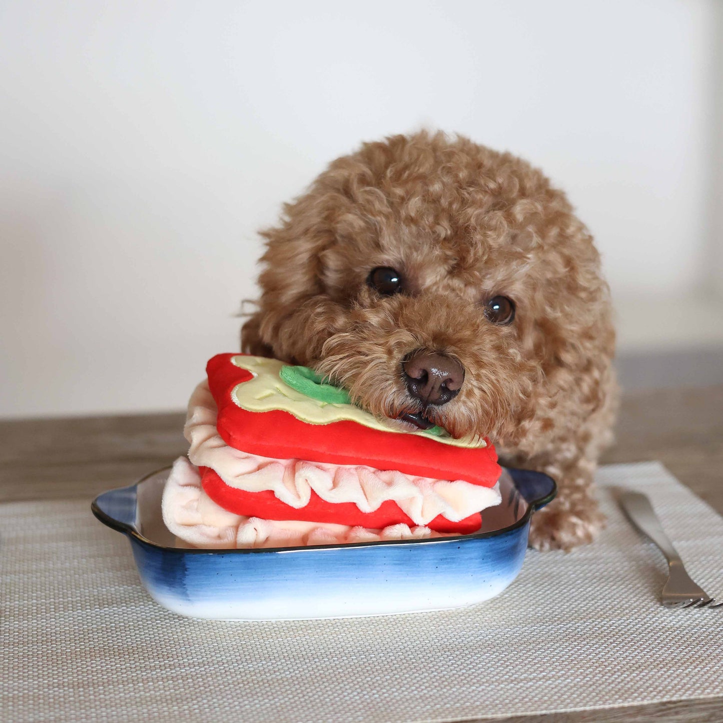 Lasagna Nosework Toy