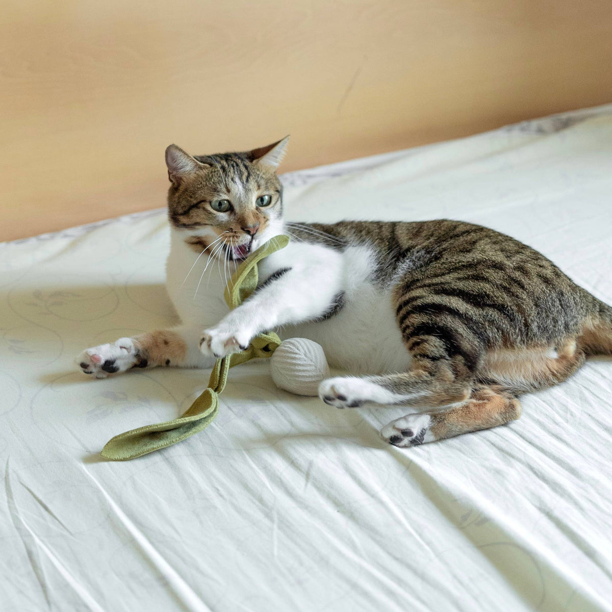 Kitty Radish | Cat Toy | Catnip