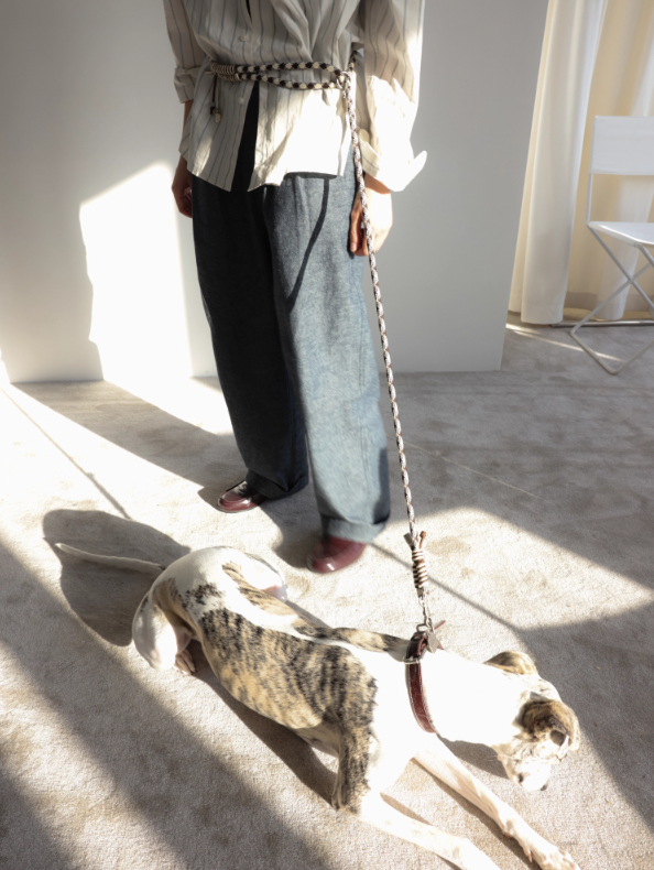 Diamond Lattice Braided Leash with Beads