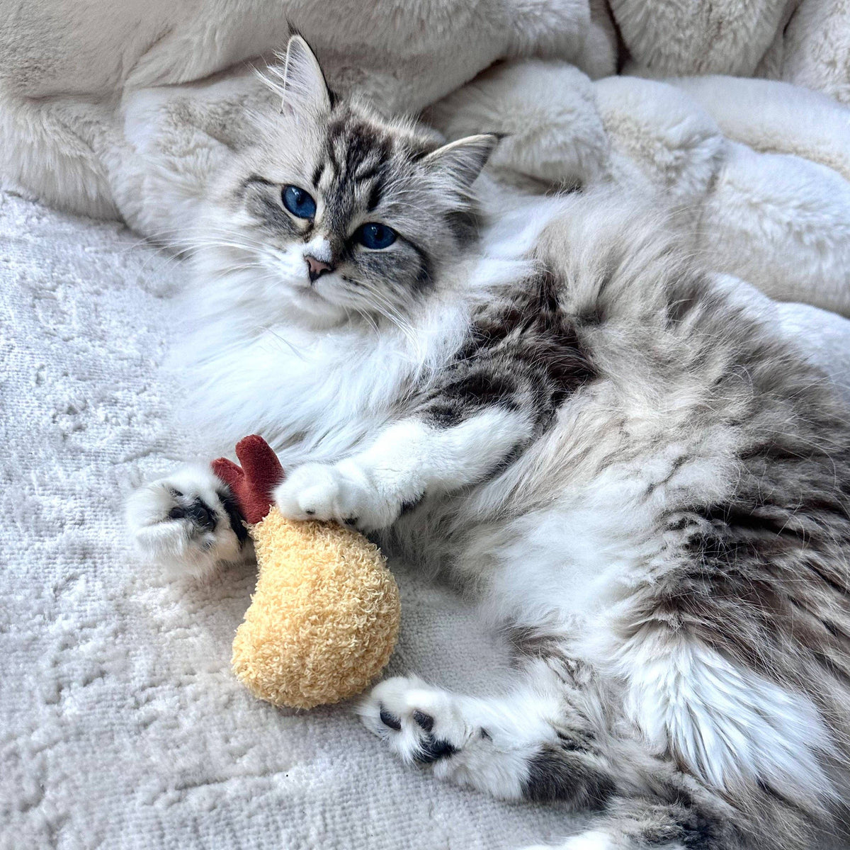Kitty Tempura