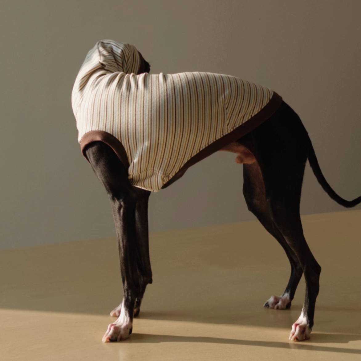 Choco Crepe Velvet Thermal Top with Hood