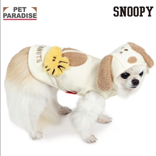 Snoopy Friends Hoodie