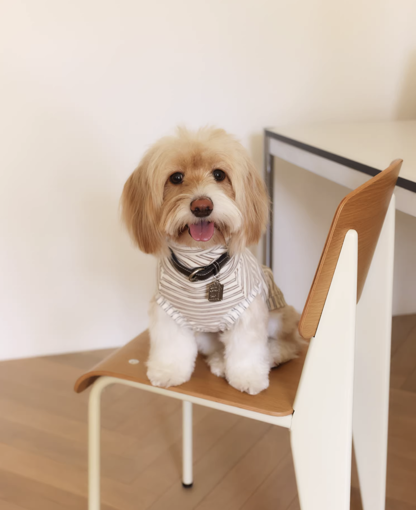 Striped Patchwork Polar Fleece Warm Top