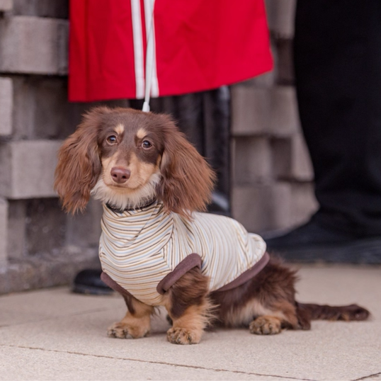 Choco Crepe Velvet Thermal Top with Hood