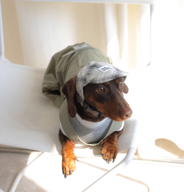 Achin Action Plaid Baseball Cap White