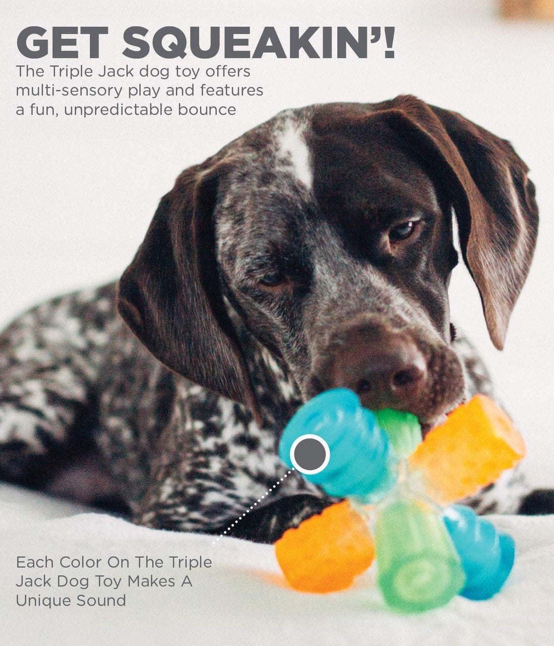 OUTWARD HOUND Dog Triple Jack