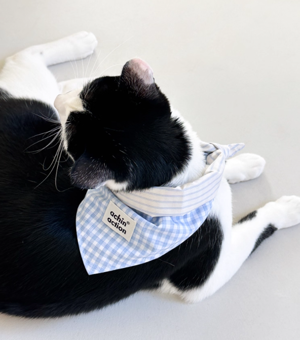 Double-Sided Summer Plaid Top