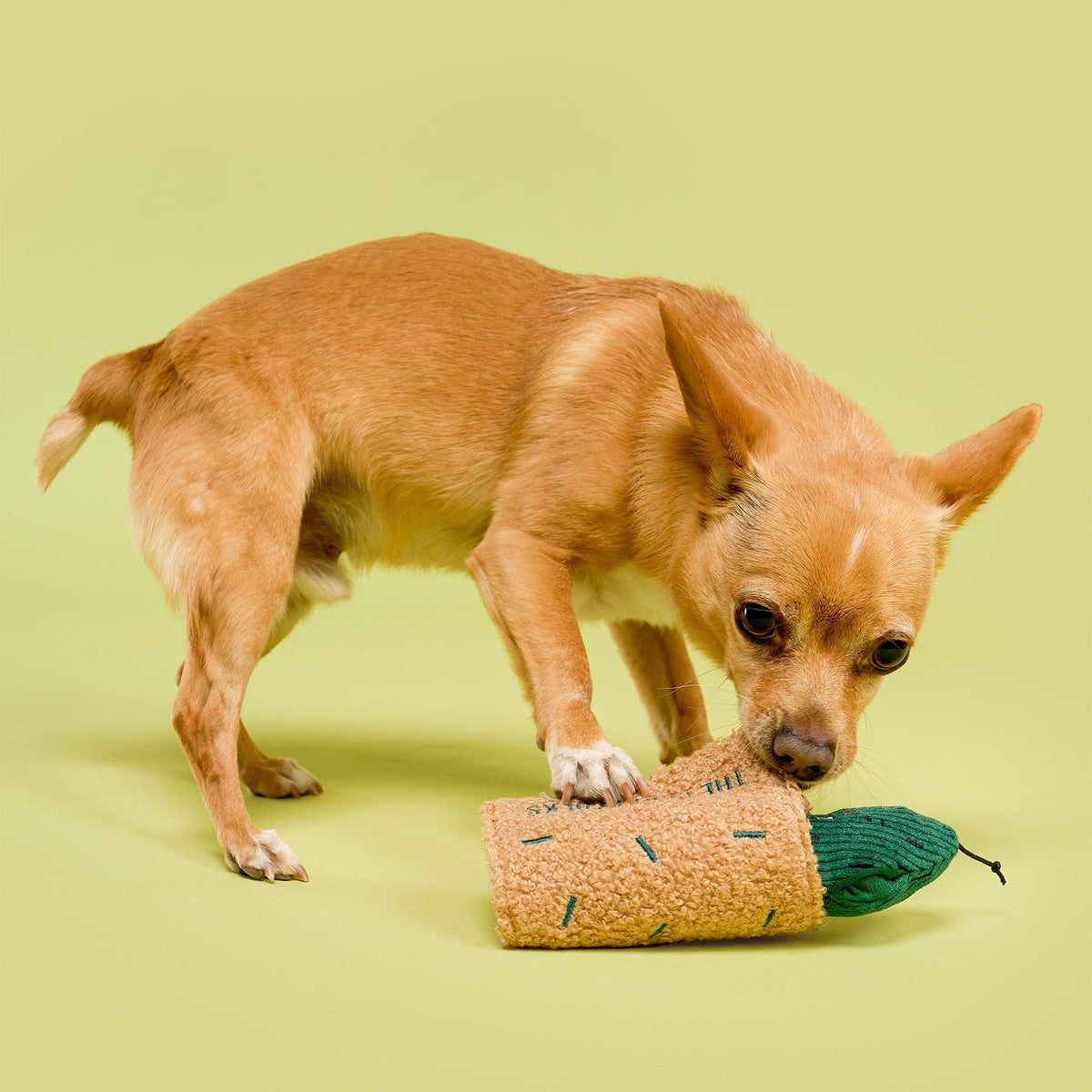 Fried Pickle Nosework Toy