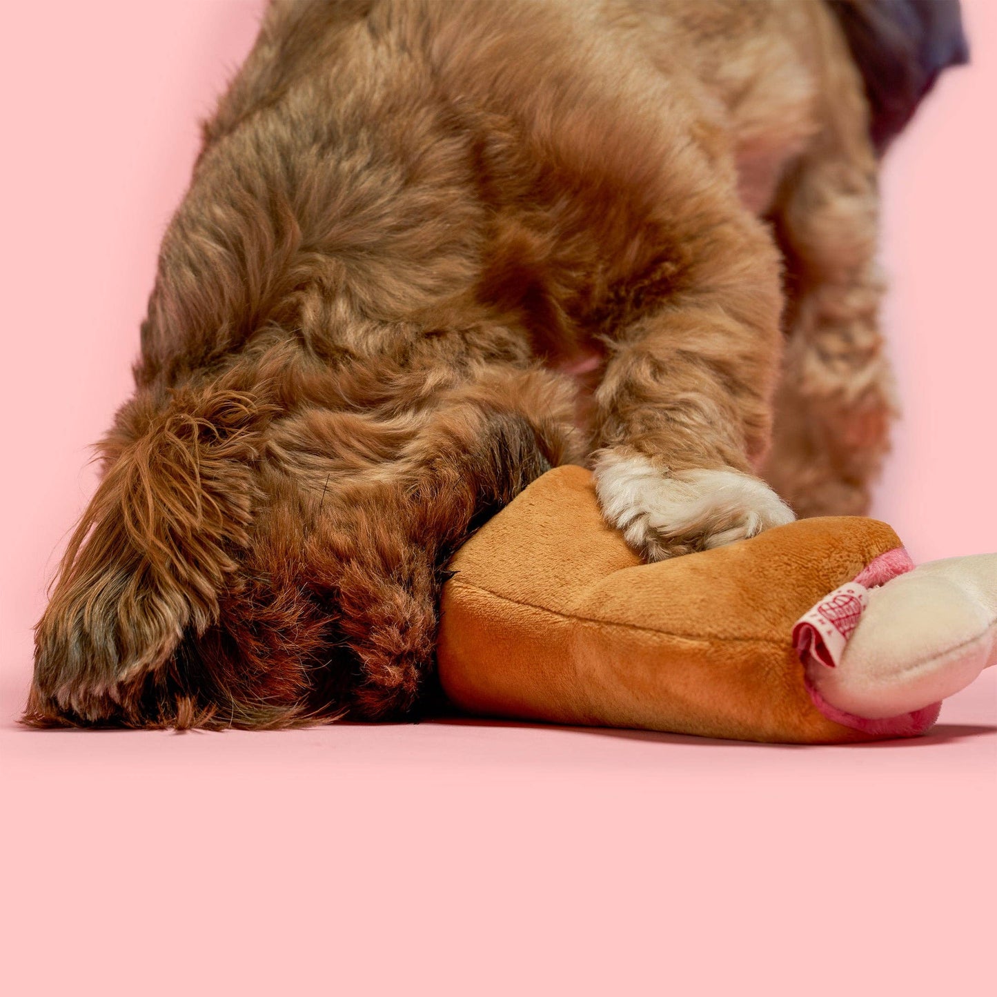 FurryFolks Bone Appétit Nosework Toy