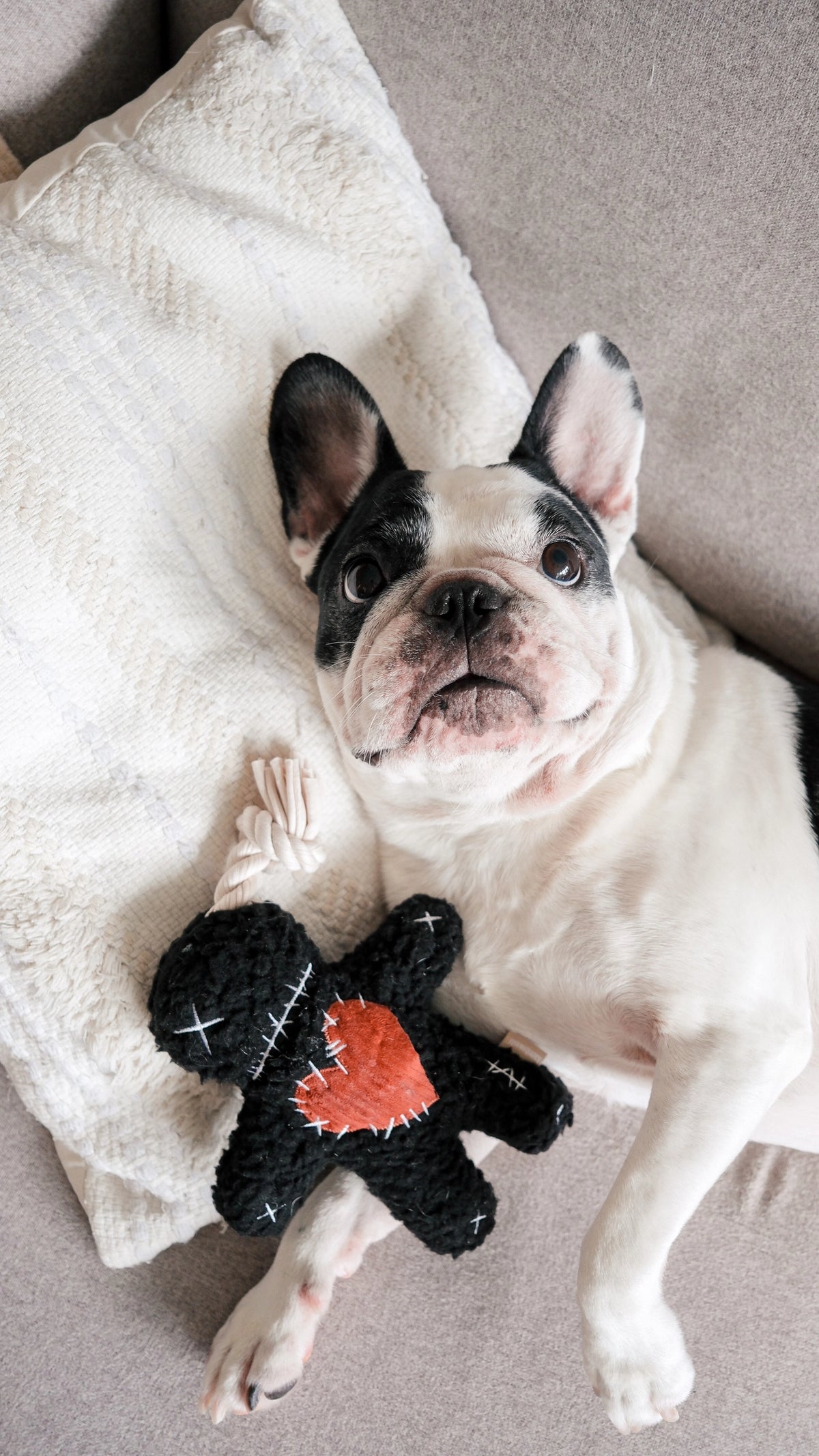 Lambwolf Collective Voodoo Halloween Toy