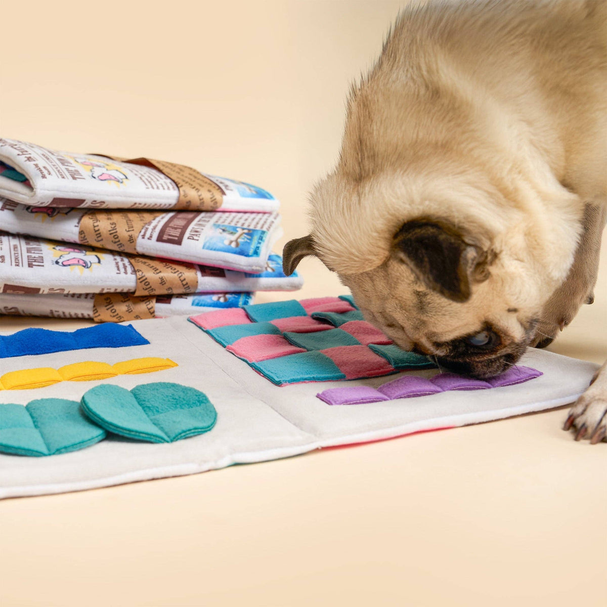 Newspaper Issue No. 2 Nosework Toy