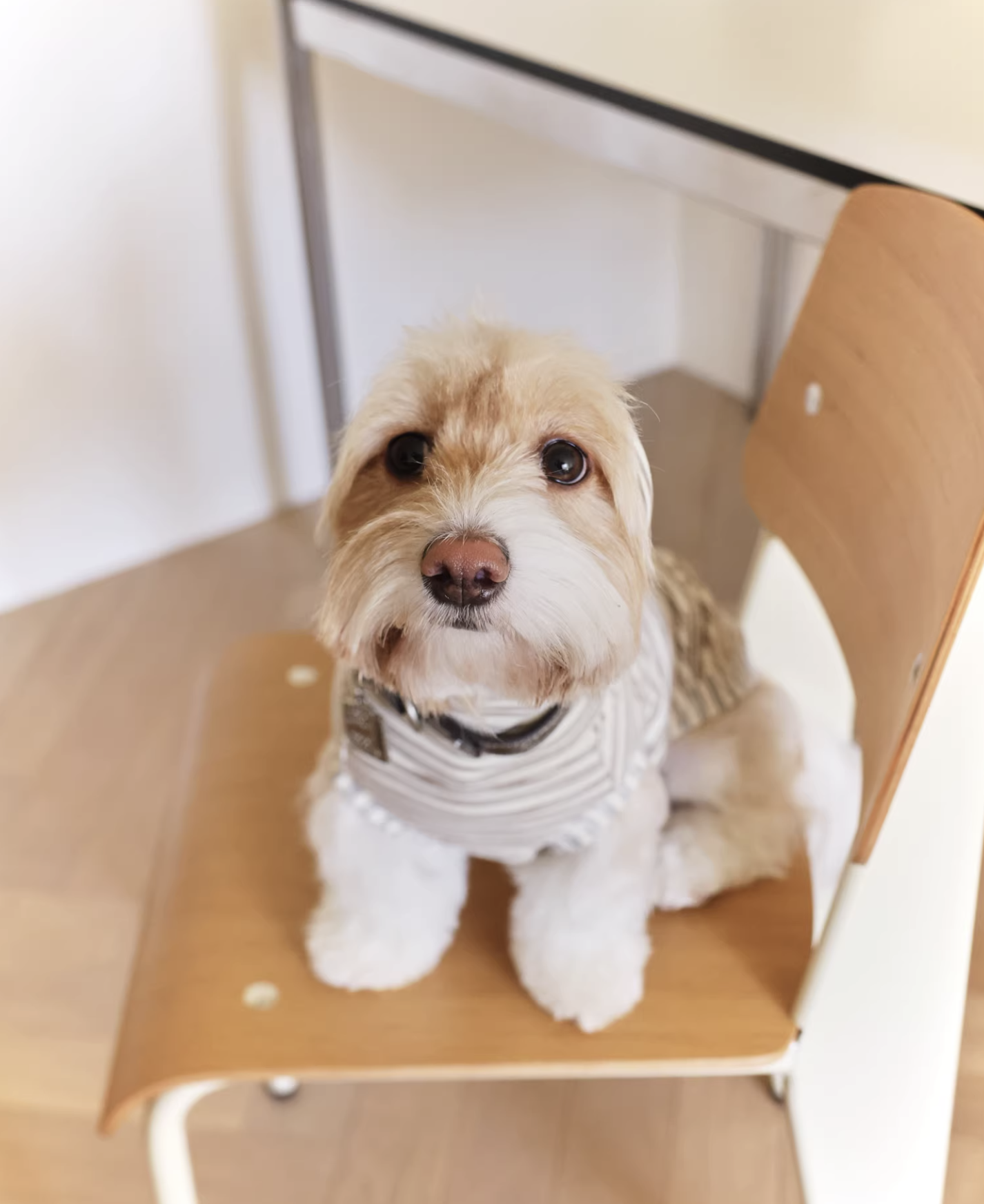 Striped Patchwork Polar Fleece Warm Top