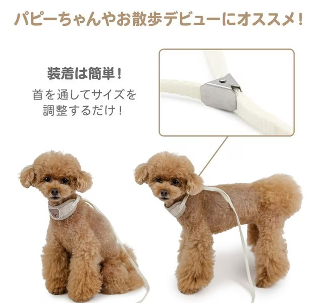 Collar with Leash Little Bear