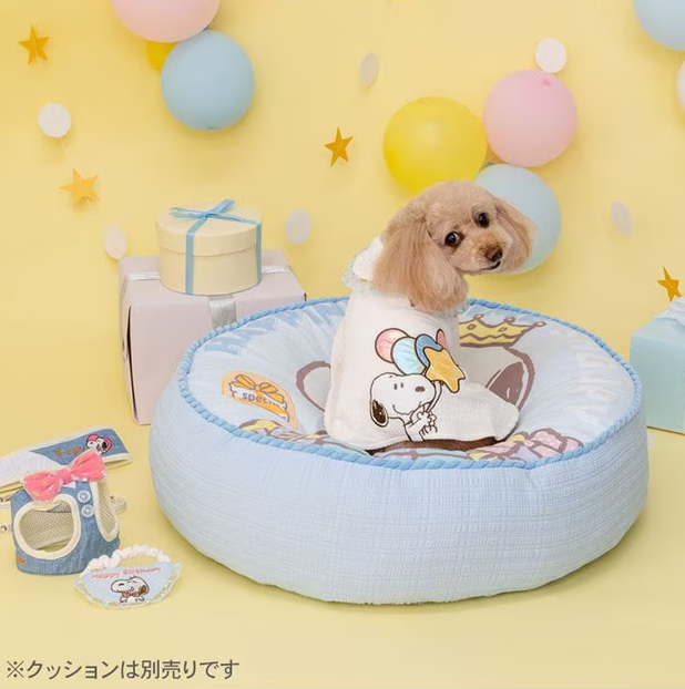 Birthday Snoopy Poncho