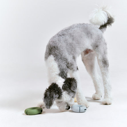 Gori U-Ring Puzzle Toy