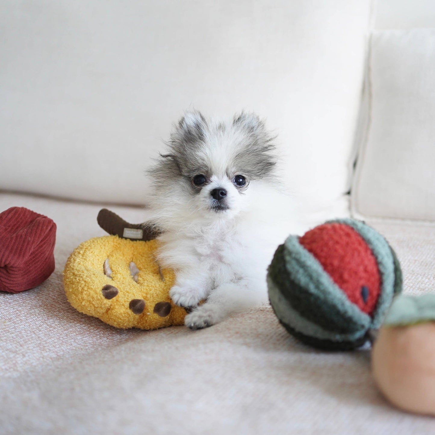 Lambwolf Collective Fruit Set Enrichment Toy