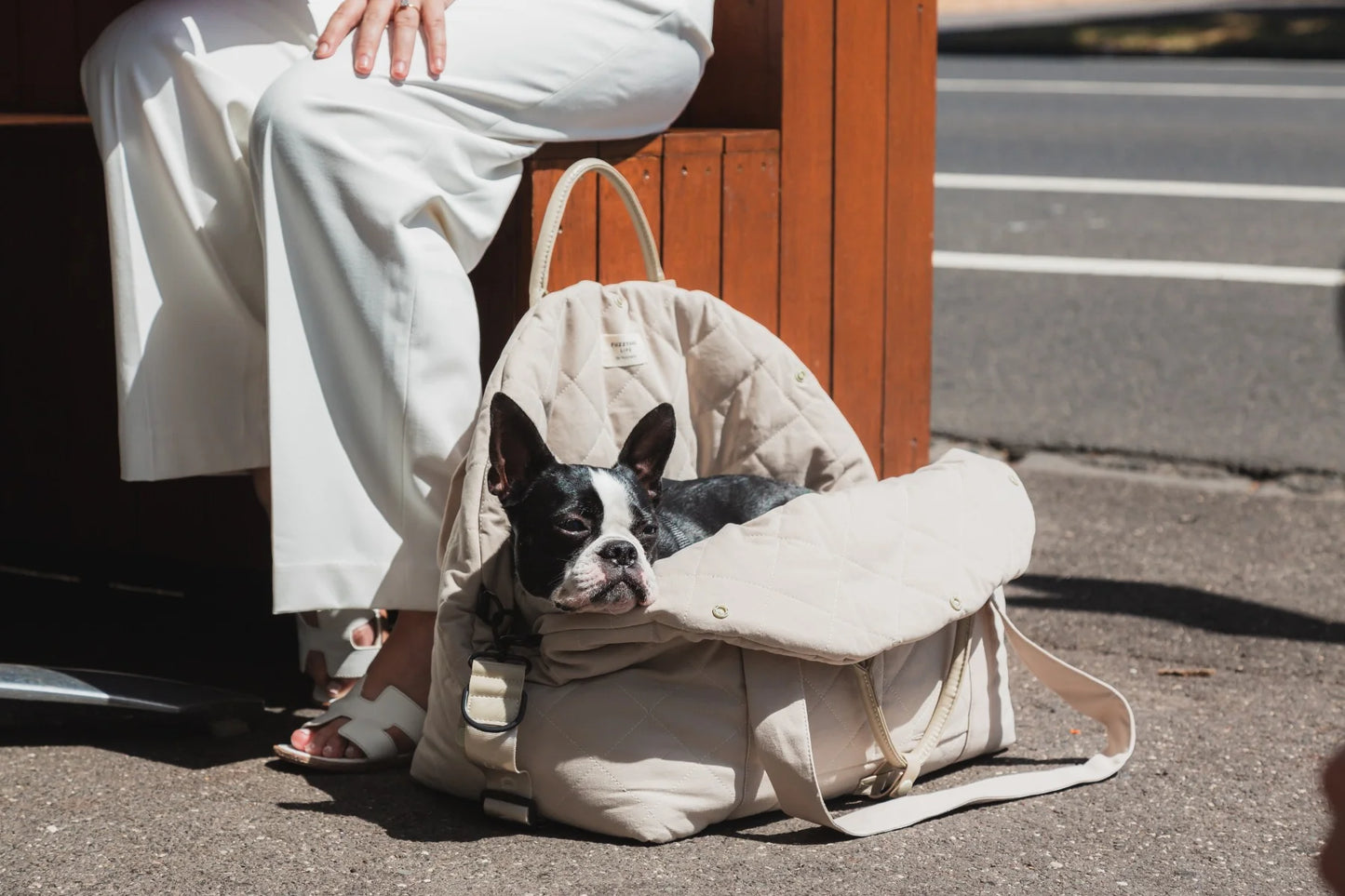 Life Multipurpose Carrier & Car Seat