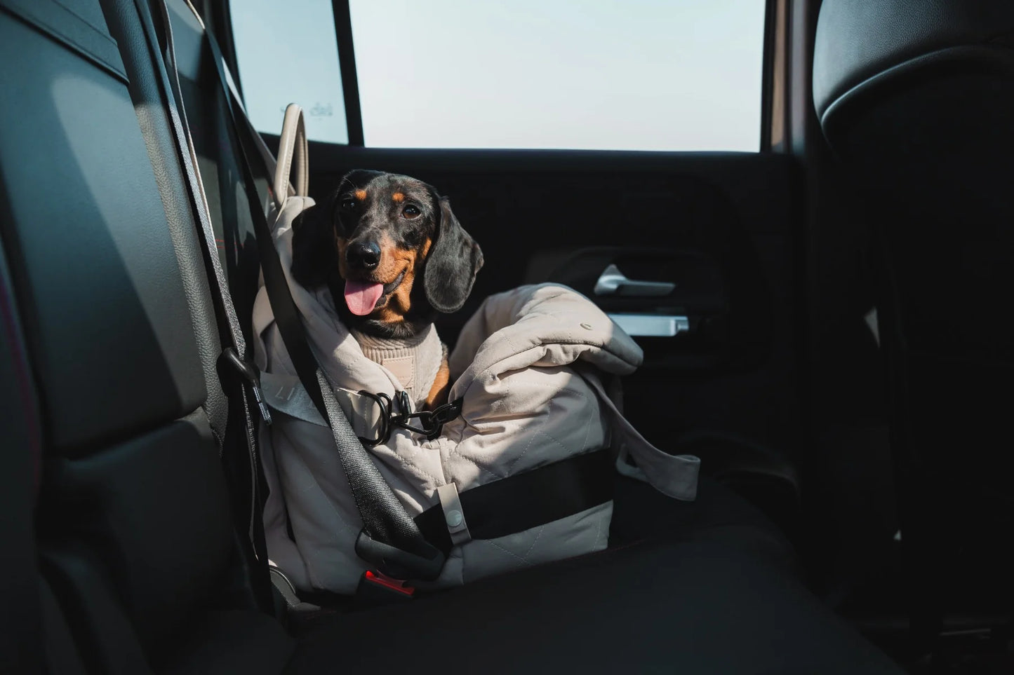Life Multipurpose Carrier & Car Seat