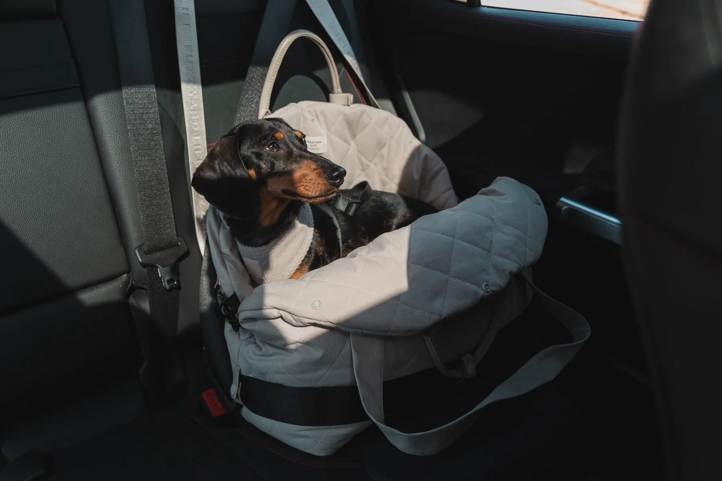 Life Multipurpose Carrier & Car Seat