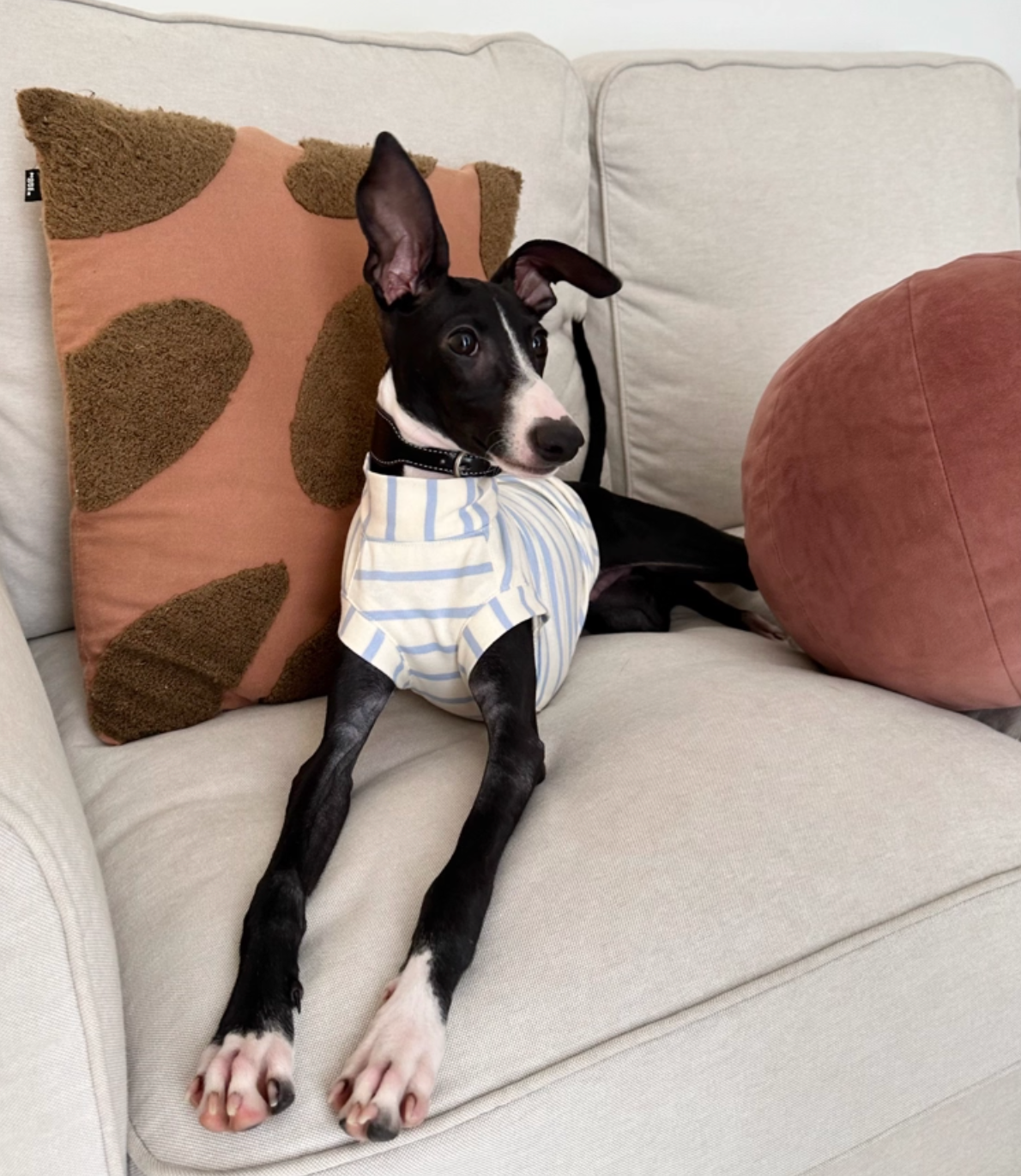 Blue n White Stripes Cotton Top