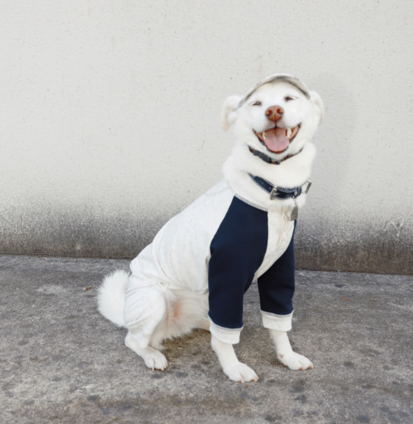 LG Series UPF50+ Anti-Bacterial Cooling Four-Legged Suit