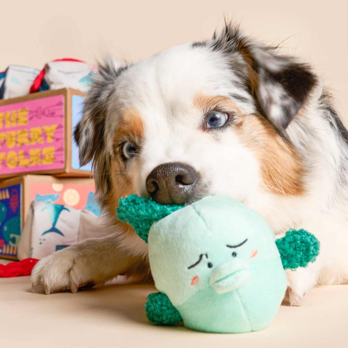 Fish Express Nosework Toy
