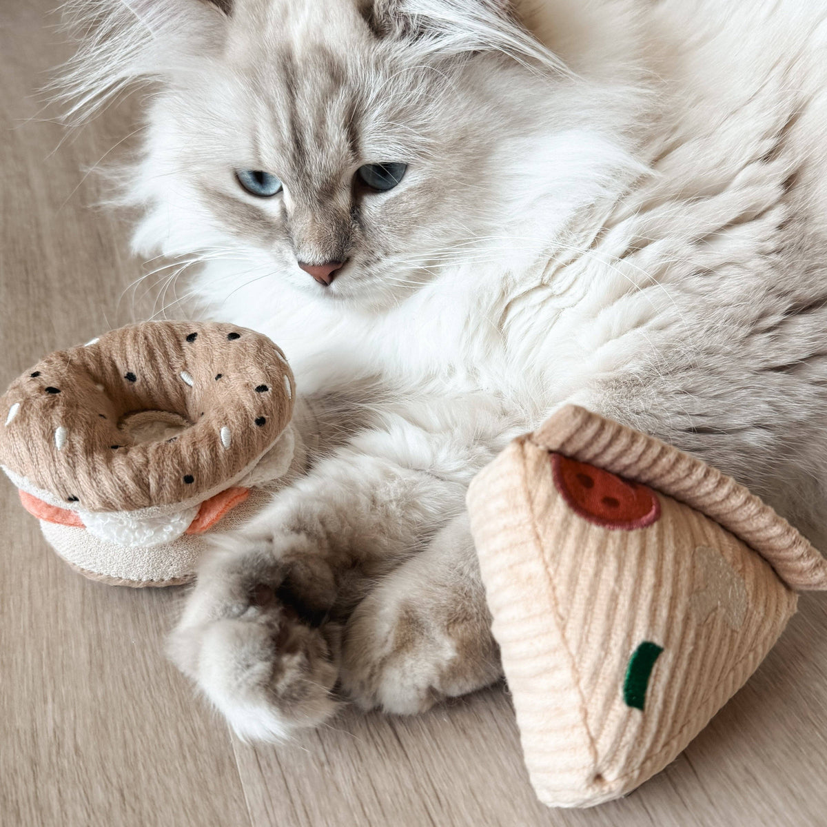 Kitty Pizza & Bagel Set | Cat Toy